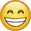 Icoon 6